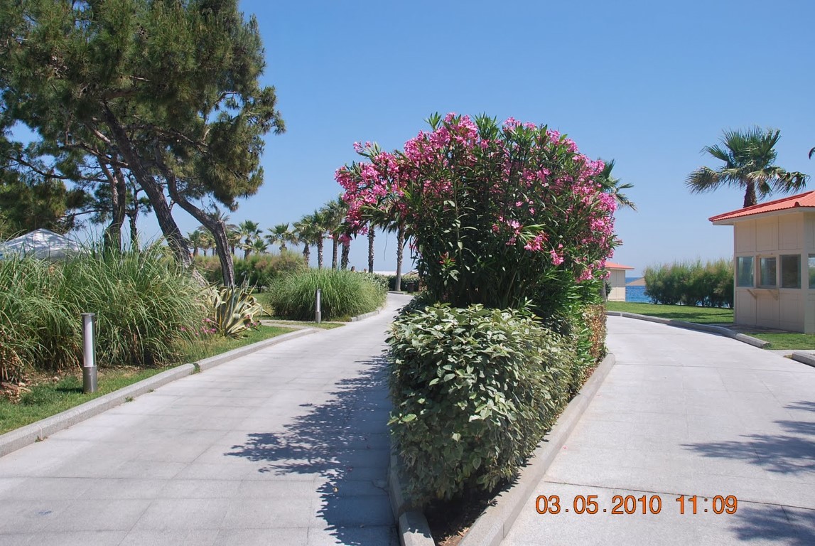 imagini hotel RIXOS SUNGATE